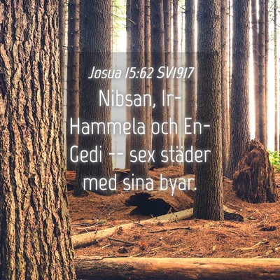 Picture 04 - Josua 15:62 SV1917 - Nibsan, Ir-Hammela och En-Gedi -- sex städer med - Bible Verse Picture