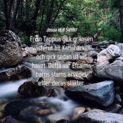 Picture 04 - Josua 16:8 SV1917 - Från Tappua gick gränsen västerut till - Bible Verse Picture