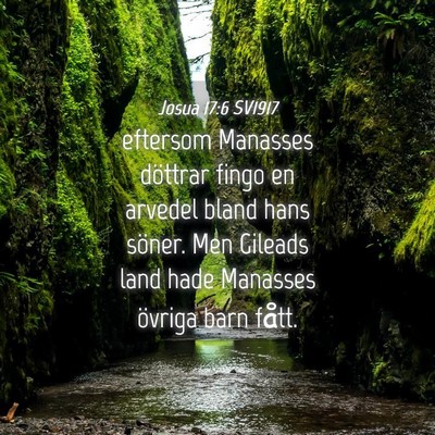 Picture 04 - Josua 17:6 SV1917 - eftersom Manasses döttrar fingo en arvedel bland - Bible Verse Picture