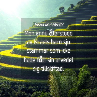 Picture 04 - Josua 18:2 SV1917 - Men ännu återstodo av Israels barn sju stammar - Bible Verse Picture