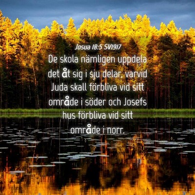 Picture 04 - Josua 18:5 SV1917 - De skola nämligen uppdela det åt sig i sju - Bible Verse Picture