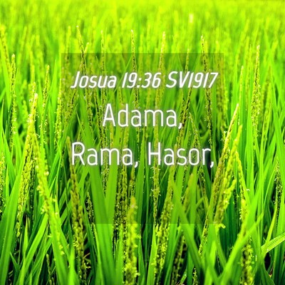 Picture 04 - Josua 19:36 SV1917 - Adama, Rama, - Bible Verse Picture