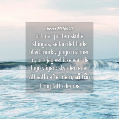Picture 04 - Josua 2:5 SV1917 - och när porten skulle stängas, sedan det hade - Bible Verse Picture