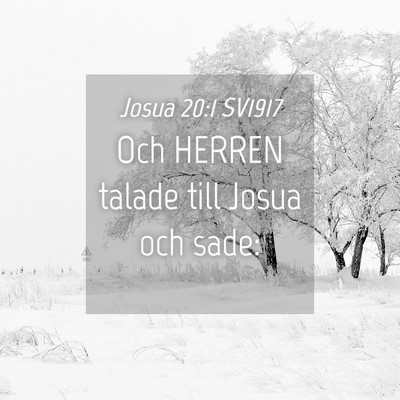 Picture 04 - Josua 20:1 SV1917 - Och HERREN talade till Josua och - Bible Verse Picture