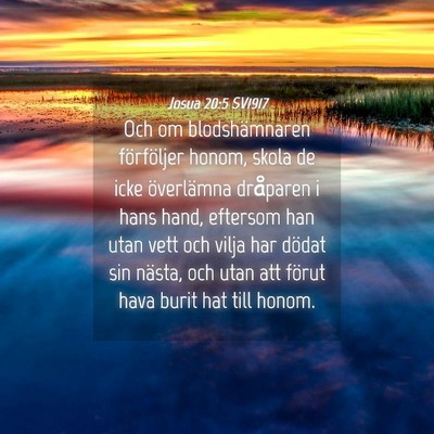 Picture 04 - Josua 20:5 SV1917 - Och om blodshämnaren förföljer honom, skola de - Bible Verse Picture
