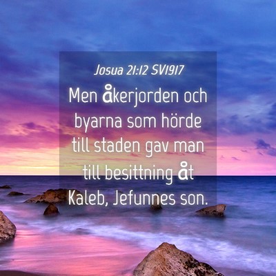 Picture 04 - Josua 21:12 SV1917 - Men åkerjorden och byarna som hörde till staden - Bible Verse Picture