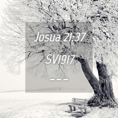 Picture 04 - Josua 21:37 SV1917 -  - Bible Verse Picture