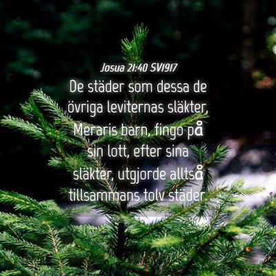 Picture 04 - Josua 21:40 SV1917 - De städer som dessa de övriga leviternas - Bible Verse Picture