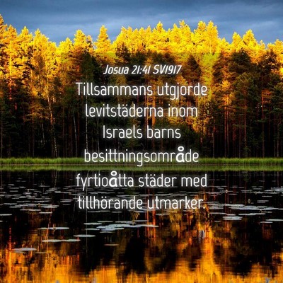 Picture 04 - Josua 21:41 SV1917 - Tillsammans utgjorde levitstäderna inom Israels - Bible Verse Picture