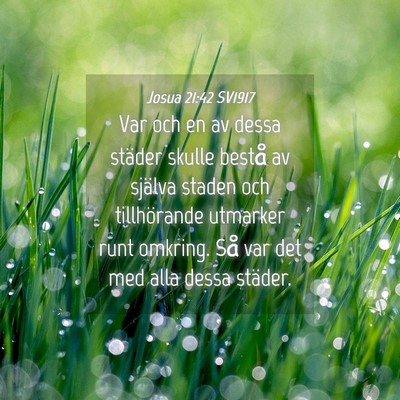 Picture 04 - Josua 21:42 SV1917 - Var och en av dessa städer skulle bestå av - Bible Verse Picture