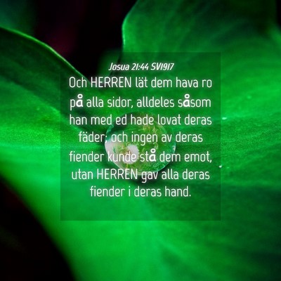 Picture 04 - Josua 21:44 SV1917 - Och HERREN lät dem hava ro på alla sidor, - Bible Verse Picture