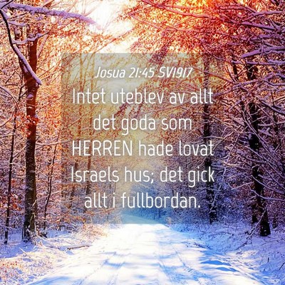 Picture 04 - Josua 21:45 SV1917 - Intet uteblev av allt det goda som HERREN hade - Bible Verse Picture