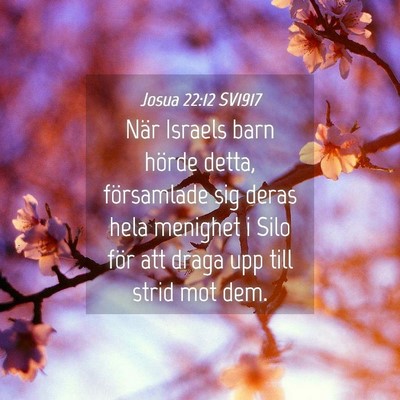 Picture 04 - Josua 22:12 SV1917 - När Israels barn hörde detta, församlade sig - Bible Verse Picture