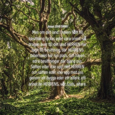Picture 04 - Josua 22:19 SV1917 - Men om det land I haven fått till besittning - Bible Verse Picture