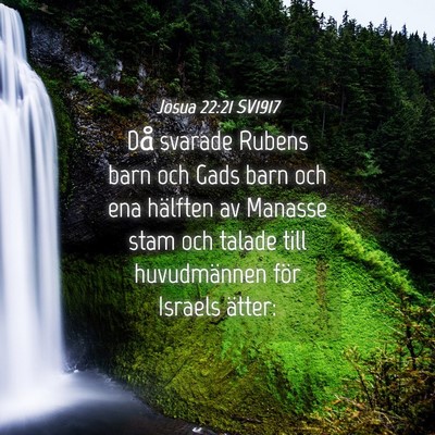Picture 04 - Josua 22:21 SV1917 - Då svarade Rubens barn och Gads barn och ena - Bible Verse Picture