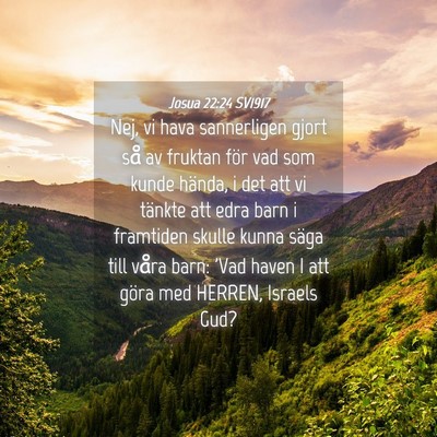 Picture 04 - Josua 22:24 SV1917 - Nej, vi hava sannerligen gjort så av fruktan - Bible Verse Picture