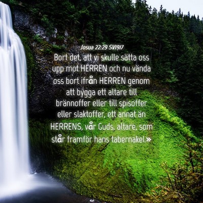 Picture 04 - Josua 22:29 SV1917 - Bort det, att vi skulle sätta oss upp mot HERREN - Bible Verse Picture