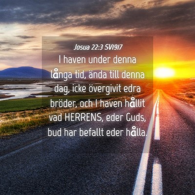 Picture 04 - Josua 22:3 SV1917 - I haven under denna långa tid, ända till denna - Bible Verse Picture