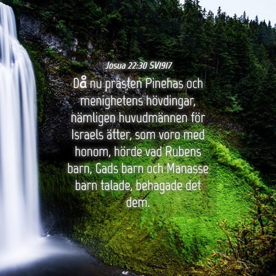 Picture 04 - Josua 22:30 SV1917 - Då nu prästen Pinehas och menighetens - Bible Verse Picture