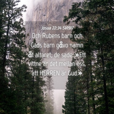 Picture 04 - Josua 22:34 SV1917 - Och Rubens barn och Gads barn gåvo namn åt - Bible Verse Picture