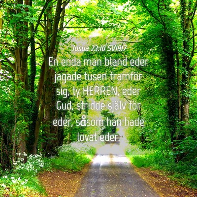 Picture 04 - Josua 23:10 SV1917 - En enda man bland eder jagade tusen framför sig, - Bible Verse Picture