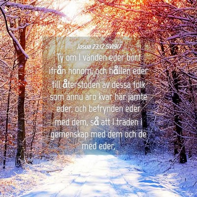 Picture 04 - Josua 23:12 SV1917 - Ty om I vänden eder bort ifrån honom, och - Bible Verse Picture