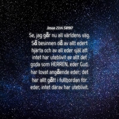 Picture 04 - Josua 23:14 SV1917 - Se, jag går nu all världens väg. Så besinnen - Bible Verse Picture