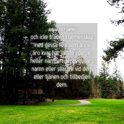Picture 04 - Josua 23:7 SV1917 - och icke träden i gemenskap med dessa folk som - Bible Verse Picture