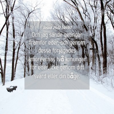 Picture 04 - Josua 24:12 SV1917 - Och jag sände getingar framför eder, och genom - Bible Verse Picture