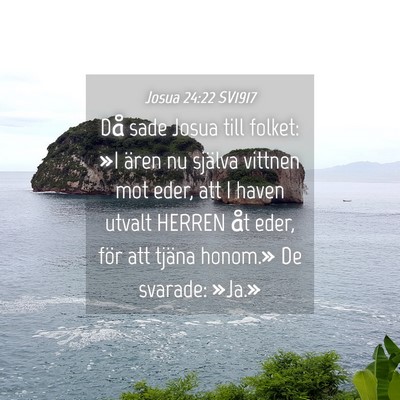 Picture 04 - Josua 24:22 SV1917 - Då sade Josua till folket: »I ären nu själva - Bible Verse Picture