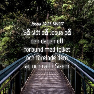 Picture 04 - Josua 24:25 SV1917 - Så slöt då Josua på den dagen ett förbund - Bible Verse Picture