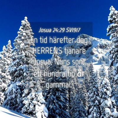 Picture 04 - Josua 24:29 SV1917 - En tid härefter dog HERRENS tjänare Josua, Nuns - Bible Verse Picture