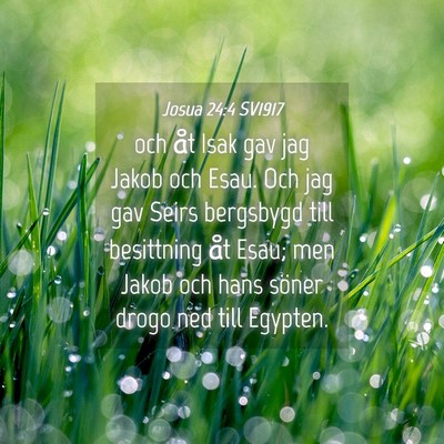 Picture 04 - Josua 24:4 SV1917 - och åt Isak gav jag Jakob och Esau. Och jag gav - Bible Verse Picture