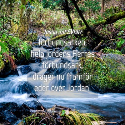 Picture 04 - Josua 3:11 SV1917 - förbundsarken, hela jordens Herres förbundsark, - Bible Verse Picture