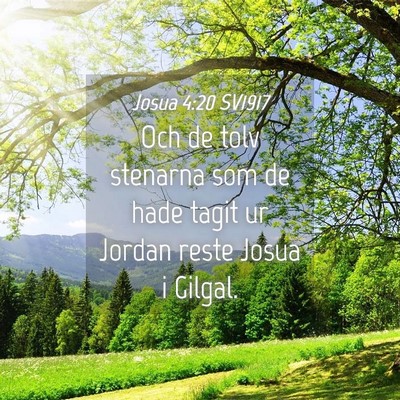 Picture 04 - Josua 4:20 SV1917 - Och de tolv stenarna som de hade tagit ur Jordan - Bible Verse Picture