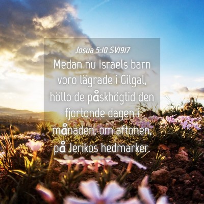 Picture 04 - Josua 5:10 SV1917 - Medan nu Israels barn voro lägrade i Gilgal, - Bible Verse Picture