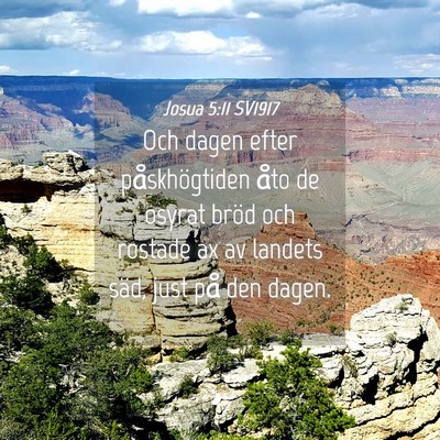 Picture 04 - Josua 5:11 SV1917 - Och dagen efter påskhögtiden åto de osyrat - Bible Verse Picture