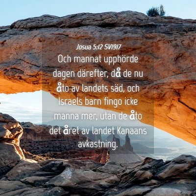 Picture 04 - Josua 5:12 SV1917 - Och mannat upphörde dagen därefter, då de nu - Bible Verse Picture