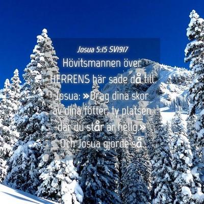 Picture 04 - Josua 5:15 SV1917 - Hövitsmannen över HERRENS här sade då till - Bible Verse Picture