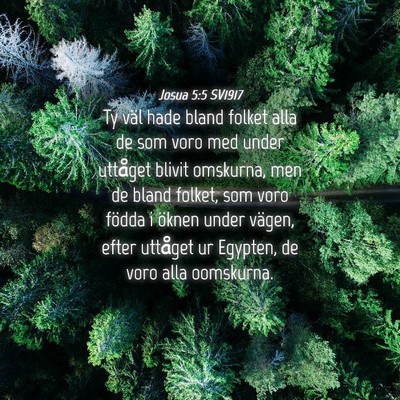 Picture 04 - Josua 5:5 SV1917 - Ty väl hade bland folket alla de som voro med - Bible Verse Picture