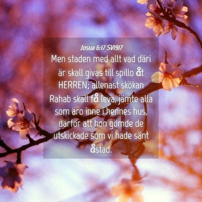 Picture 04 - Josua 6:17 SV1917 - Men staden med allt vad däri är skall givas - Bible Verse Picture