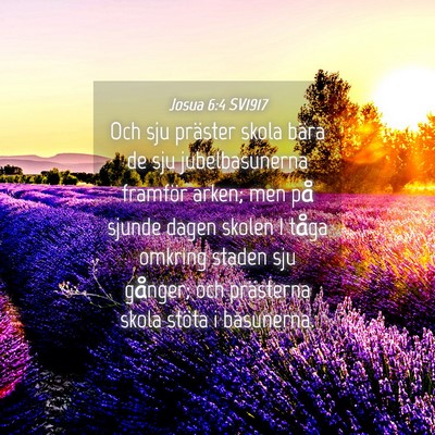 Picture 04 - Josua 6:4 SV1917 - Och sju präster skola bära de sju - Bible Verse Picture