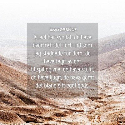 Picture 04 - Josua 7:11 SV1917 - Israel har syndat, de hava överträtt det - Bible Verse Picture