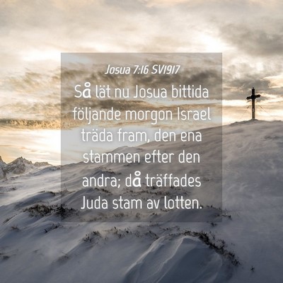 Picture 04 - Josua 7:16 SV1917 - Så lät nu Josua bittida följande morgon Israel - Bible Verse Picture