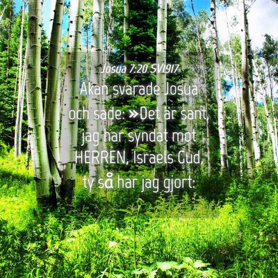 Picture 04 - Josua 7:20 SV1917 - Akan svarade Josua och sade: »Det är sant, jag - Bible Verse Picture