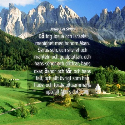 Picture 04 - Josua 7:24 SV1917 - Då tog Josua och Israels menighet med honom - Bible Verse Picture