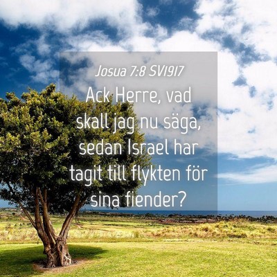 Picture 04 - Josua 7:8 SV1917 - Ack Herre, vad skall jag nu säga, sedan Israel - Bible Verse Picture