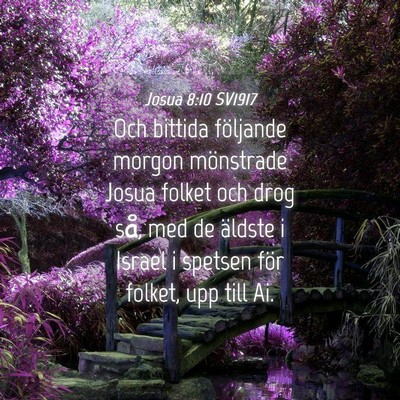 Picture 04 - Josua 8:10 SV1917 - Och bittida följande morgon mönstrade Josua - Bible Verse Picture