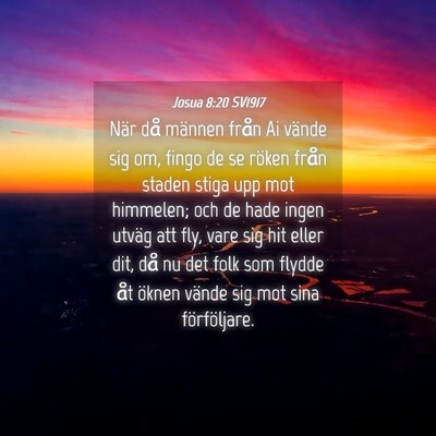 Picture 04 - Josua 8:20 SV1917 - När då männen från Ai vände sig om, fingo de - Bible Verse Picture