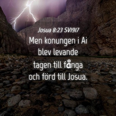 Picture 04 - Josua 8:23 SV1917 - Men konungen i Ai blev levande tagen till fånga - Bible Verse Picture